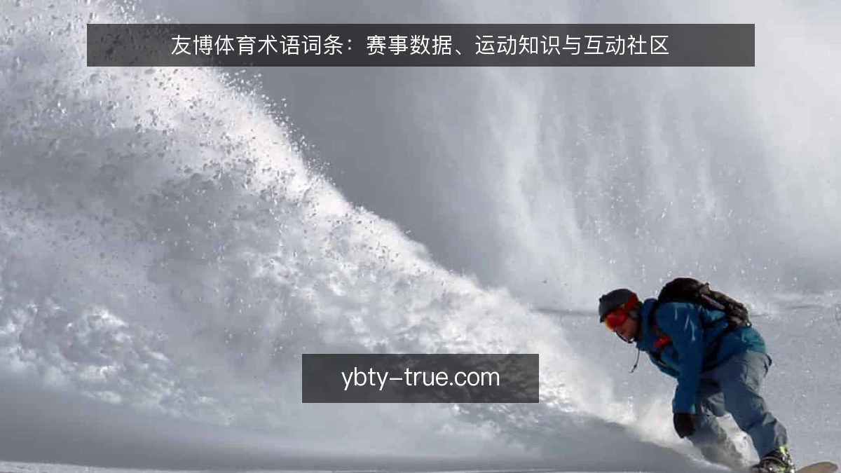 友博体育术语词条:赛事数据、运动知识与互动社区