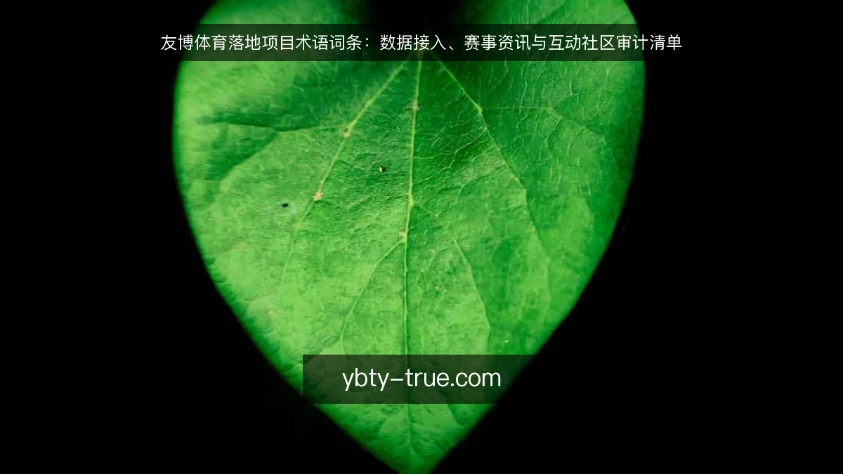 友博体育落地项目术语词条:数据接入、赛事资讯与互动社区审计清单