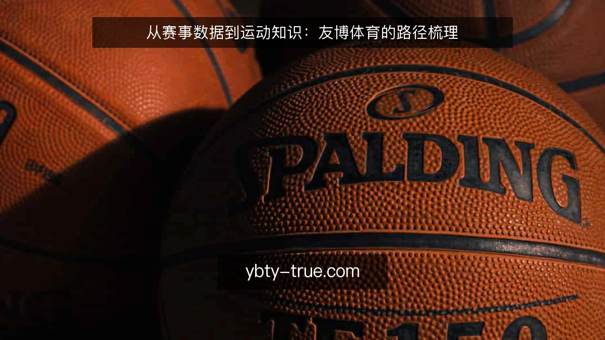 从赛事数据到运动知识:友博体育的路径梳理