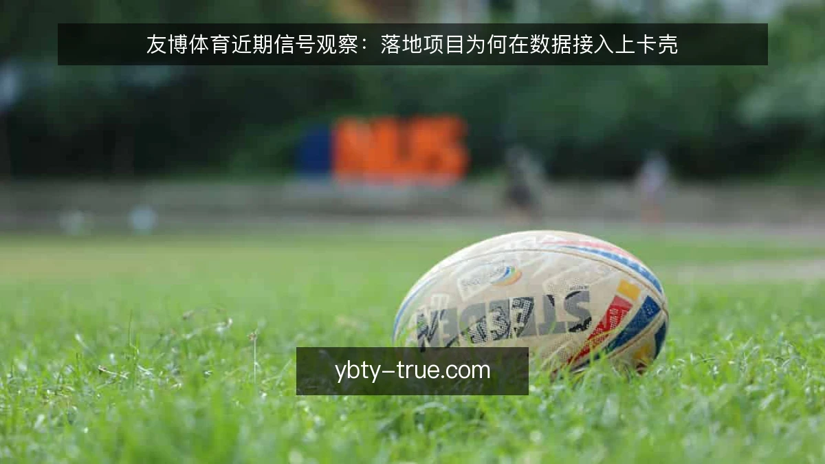 友博体育近期信号观察:落地项目为何在数据接入上卡壳