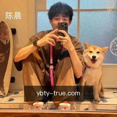 陈晨